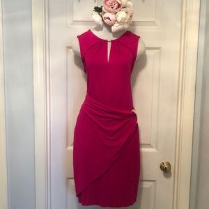 Hot Pink Caché Dress